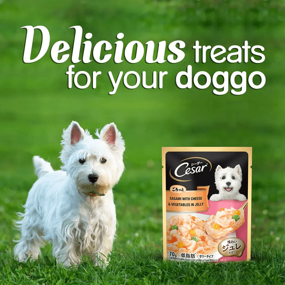 Cesar Sasami with Cheese & Vegetables in Jelly Adult Dog Wet Food - Image 9
