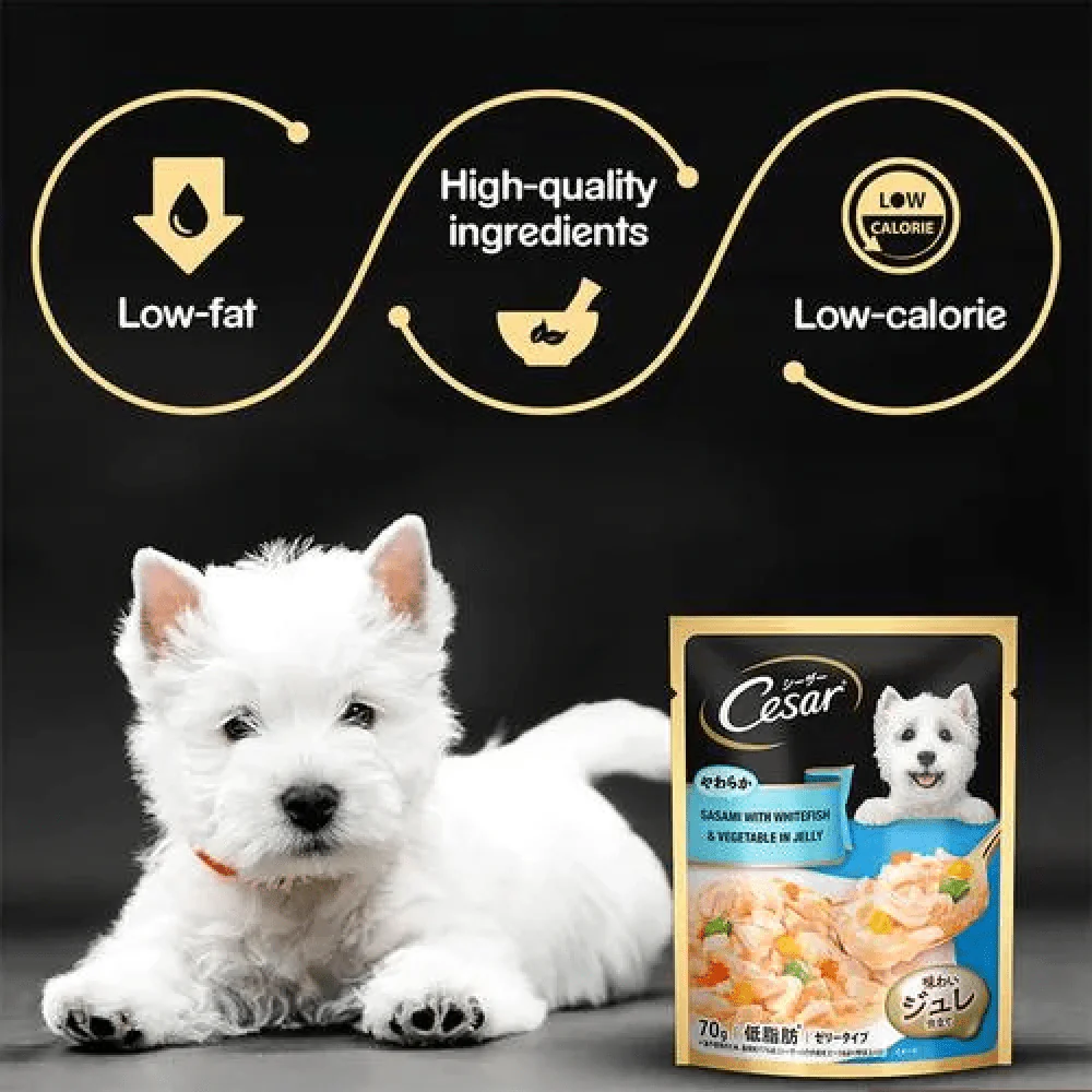 Cesar Sasami with Whitefish & Vegetable in Jelly Dog Wet Food - Image 4