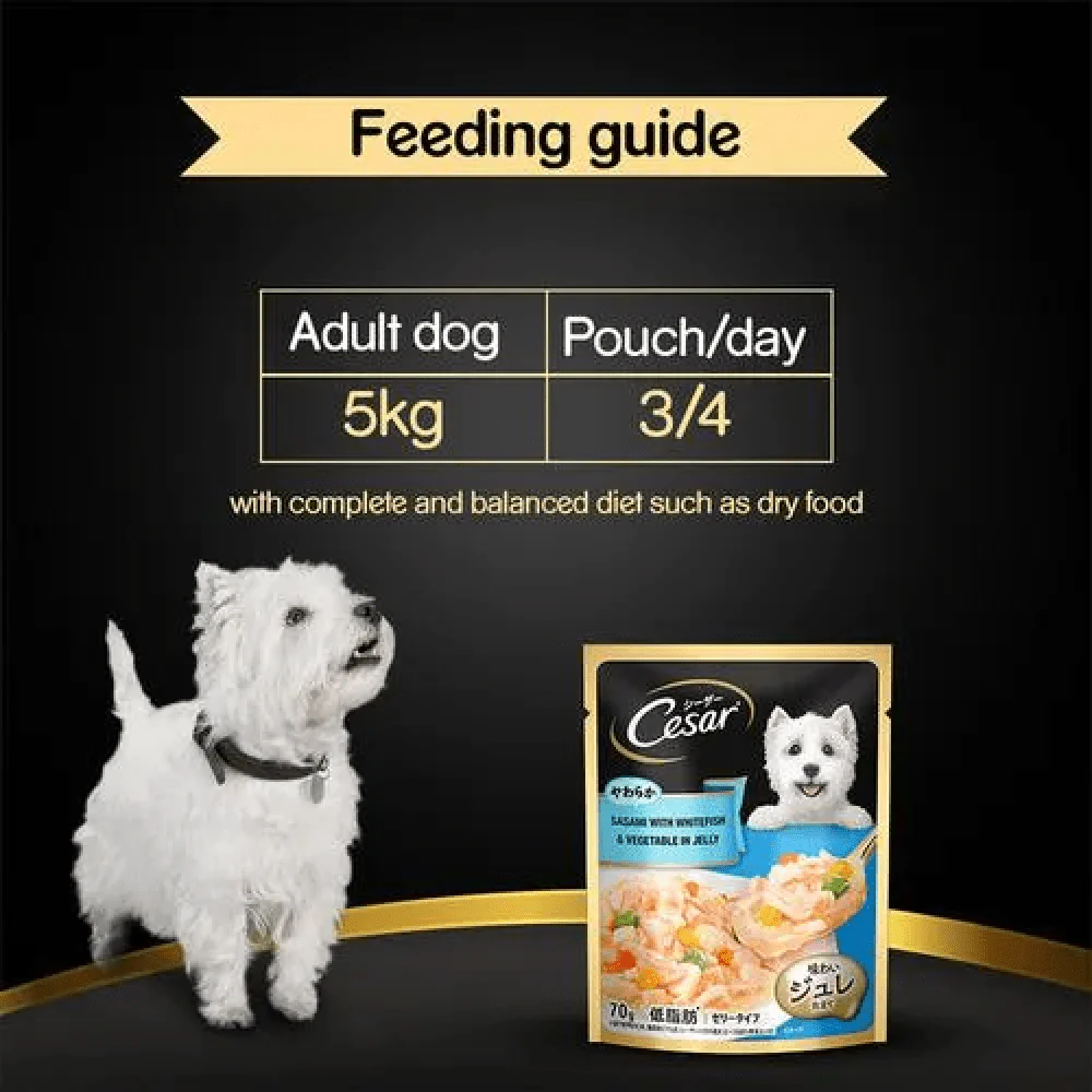 Cesar Sasami with Whitefish & Vegetable in Jelly Dog Wet Food - Image 6