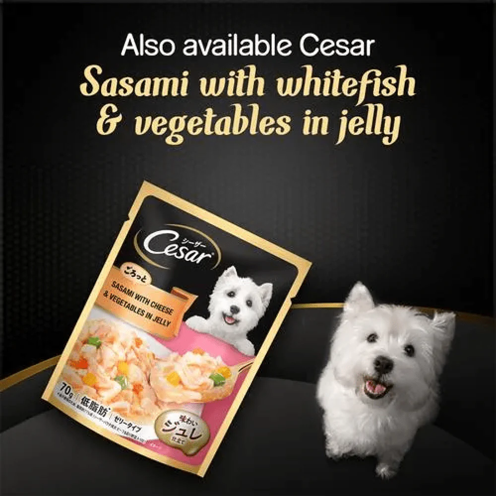 Cesar Sasami with Whitefish & Vegetable in Jelly Dog Wet Food - Image 7