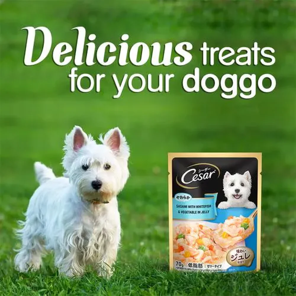 Cesar Sasami with Whitefish & Vegetable in Jelly Dog Wet Food - Image 8