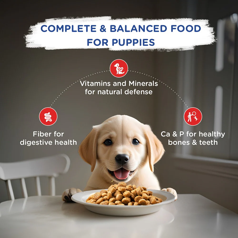 Chappi Chicken & Milk Dry Puppy Food - Image 3