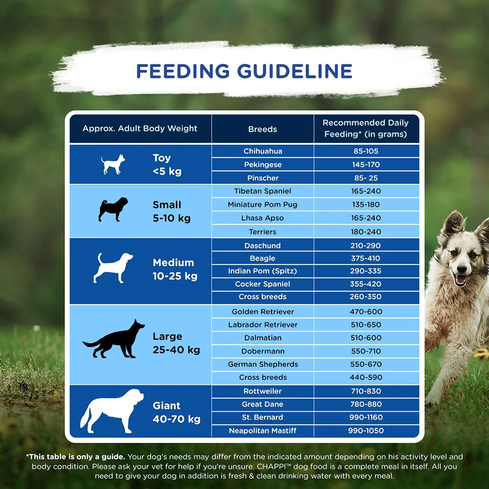 Chappi Chicken & Rice Adult Dog Dry Food - Image 4