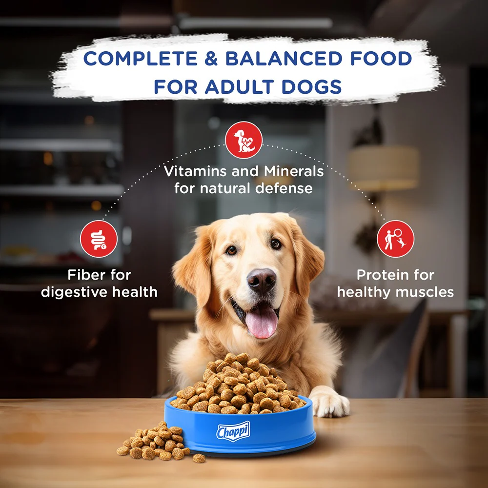 Chappi Chicken & Rice Adult Dog Dry Food - Image 6