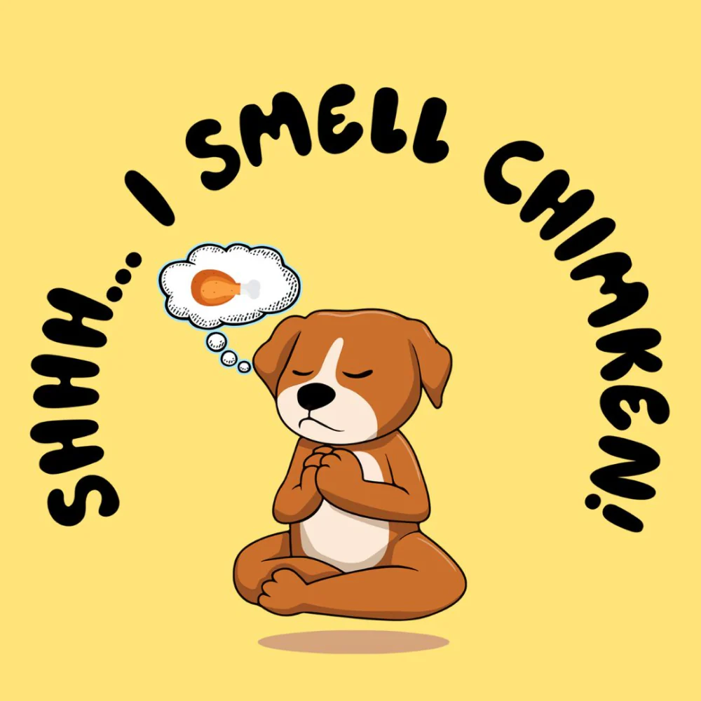 Cheeku I Smell Chimken Graphic Cotton T Shirt for Dogs and Cats (Primerose Yellow) - Image 4