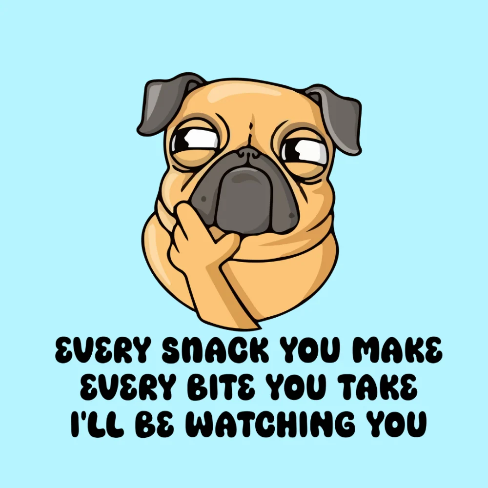 Cheeku I'll Be Watching You Graphic Cotton T Shirt for Dogs and Cats (Sky Blue) - Image 4