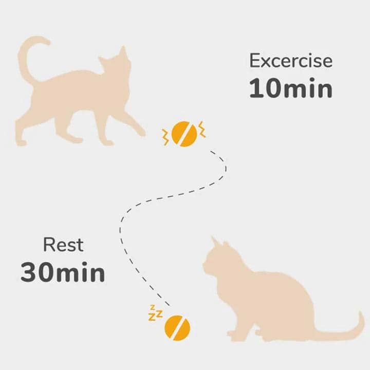Cheerble Electronic Ball Toy for Cats (Grey) - Image 5