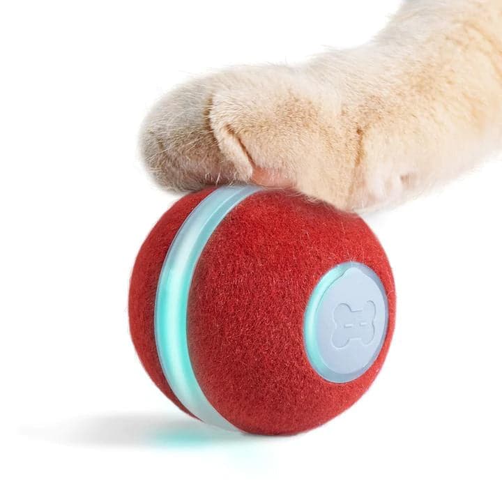 Cheerble Electronic Ball Toy for Cats (Red) - Image 8
