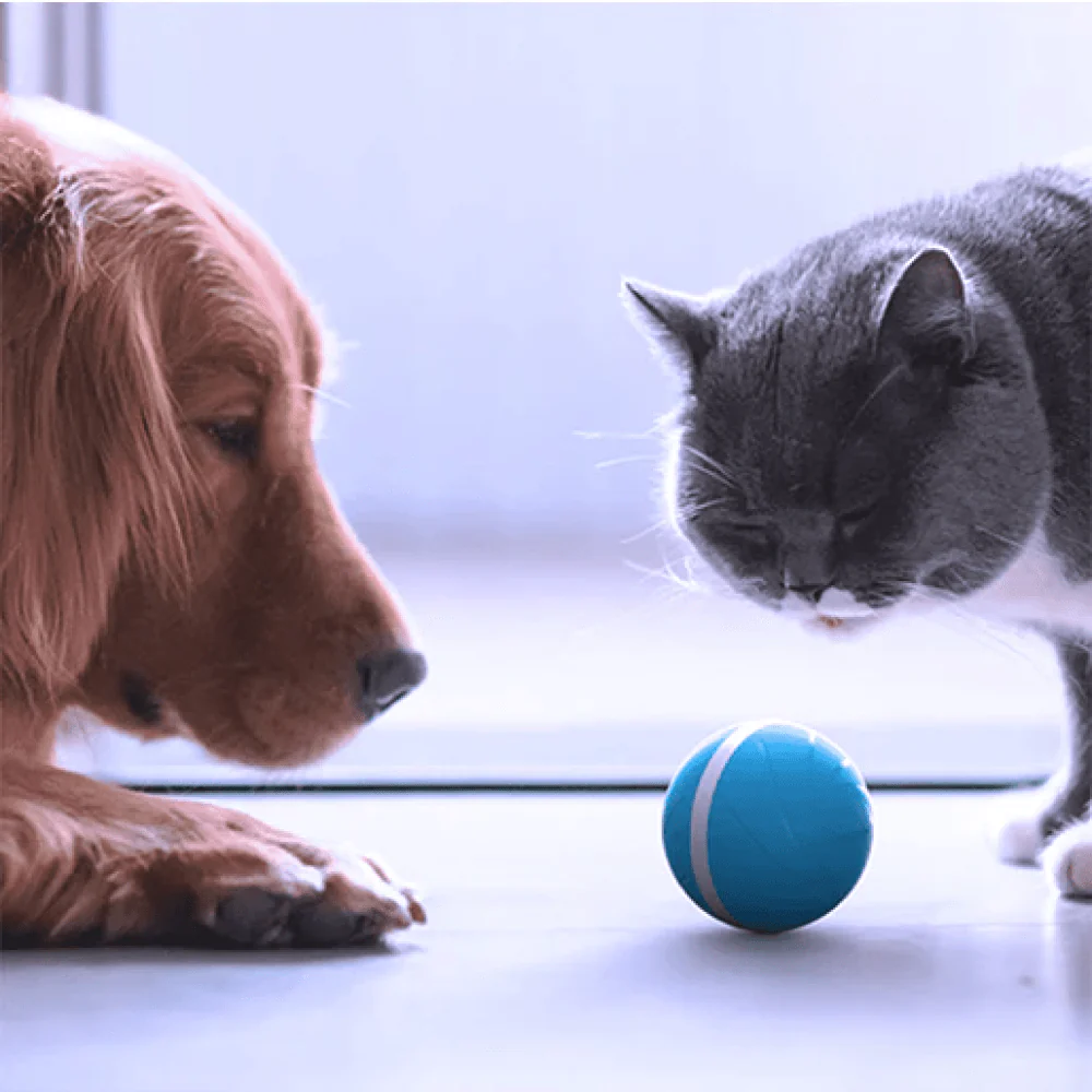 Cheerble Wicked Ball Interactive Toy for Dogs (Blue) - Image 5
