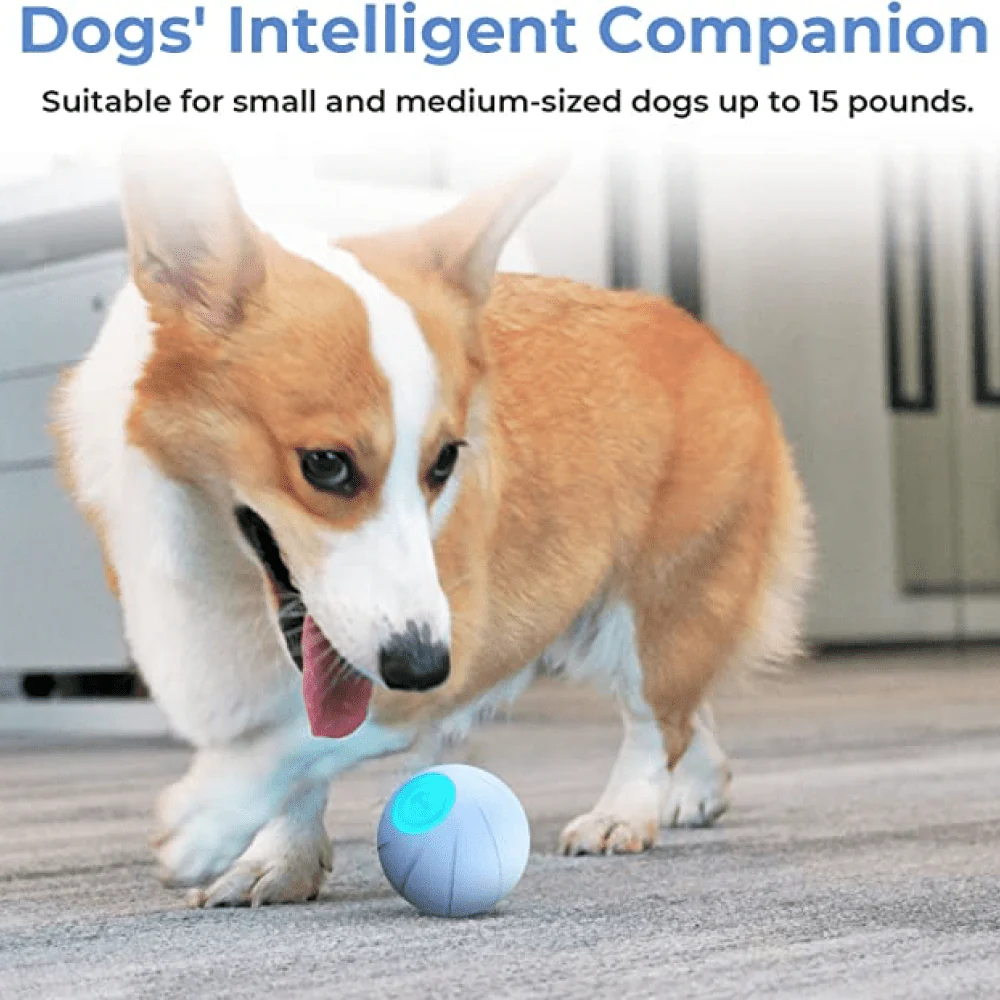 Cheerble Wicked SE Ball Toy for Dogs | For Medium Chewers (Blue) - Image 7