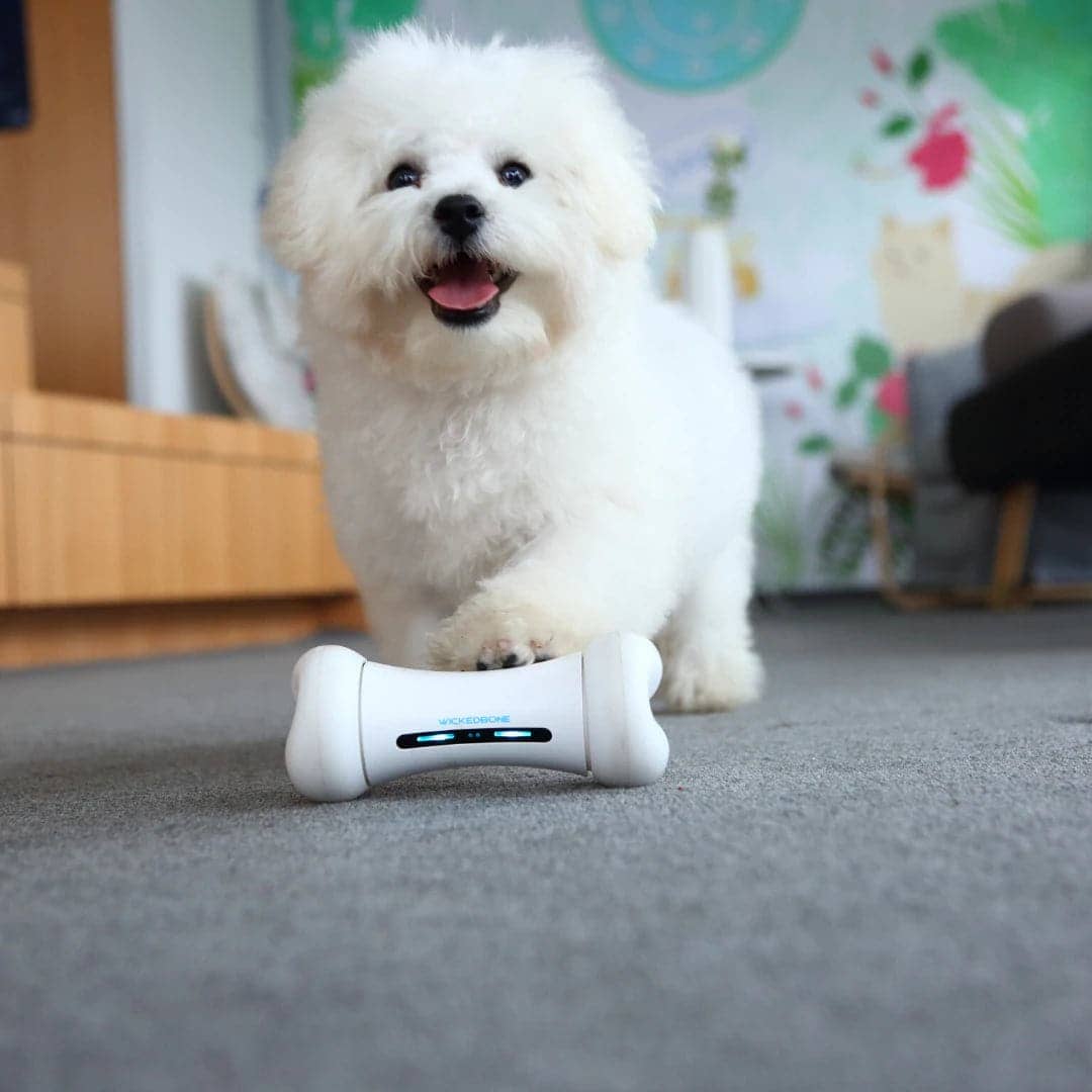 Cheerble Wicked Bone Interactive Toy for Dogs - Image 14