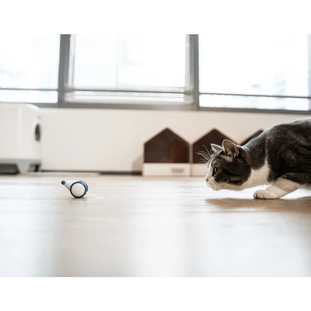 Cheerble Wicked Mouse Interactive Toy for Cats (Blue) - Image 6