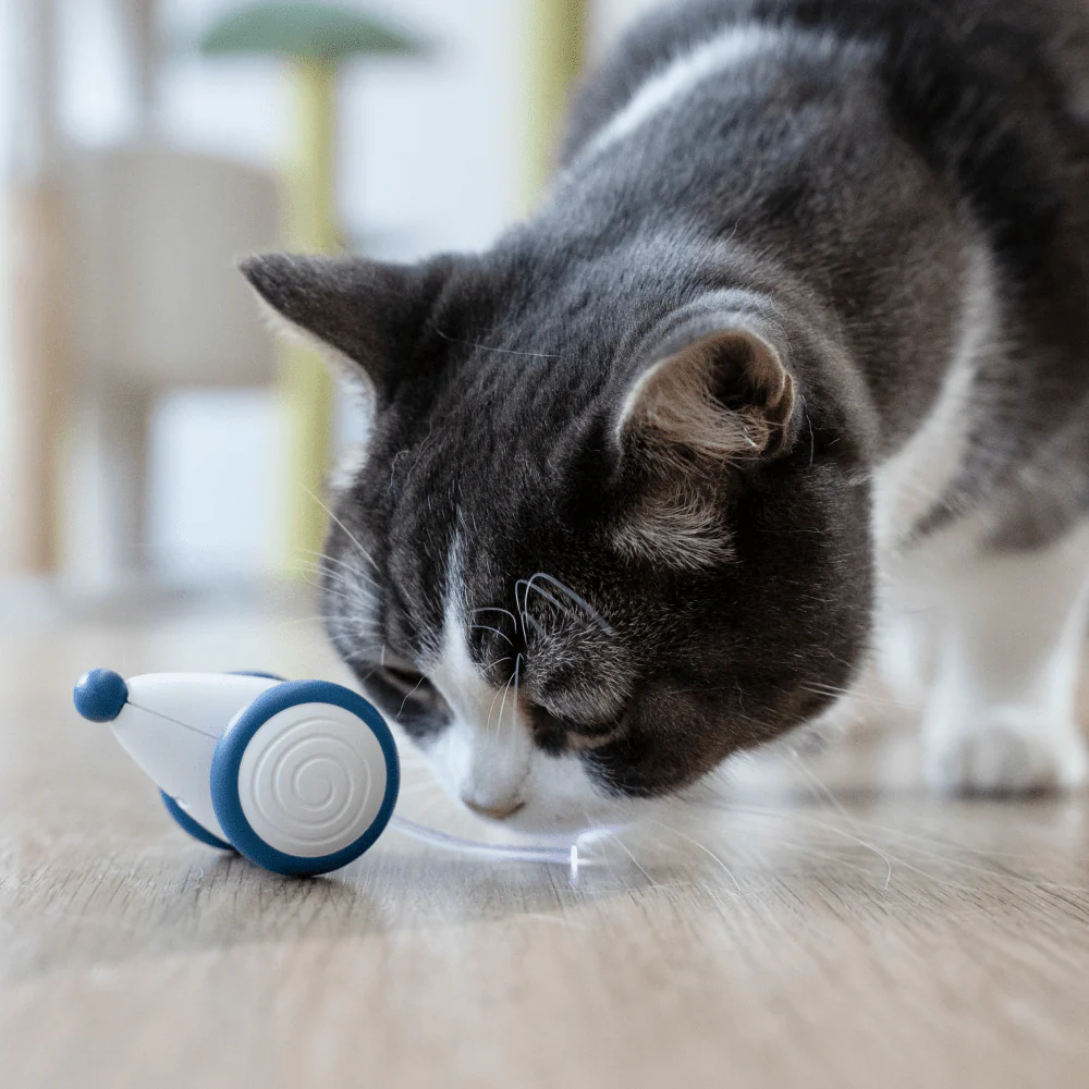 Cheerble Wicked Mouse Interactive Toy for Cats (Blue) - Image 7