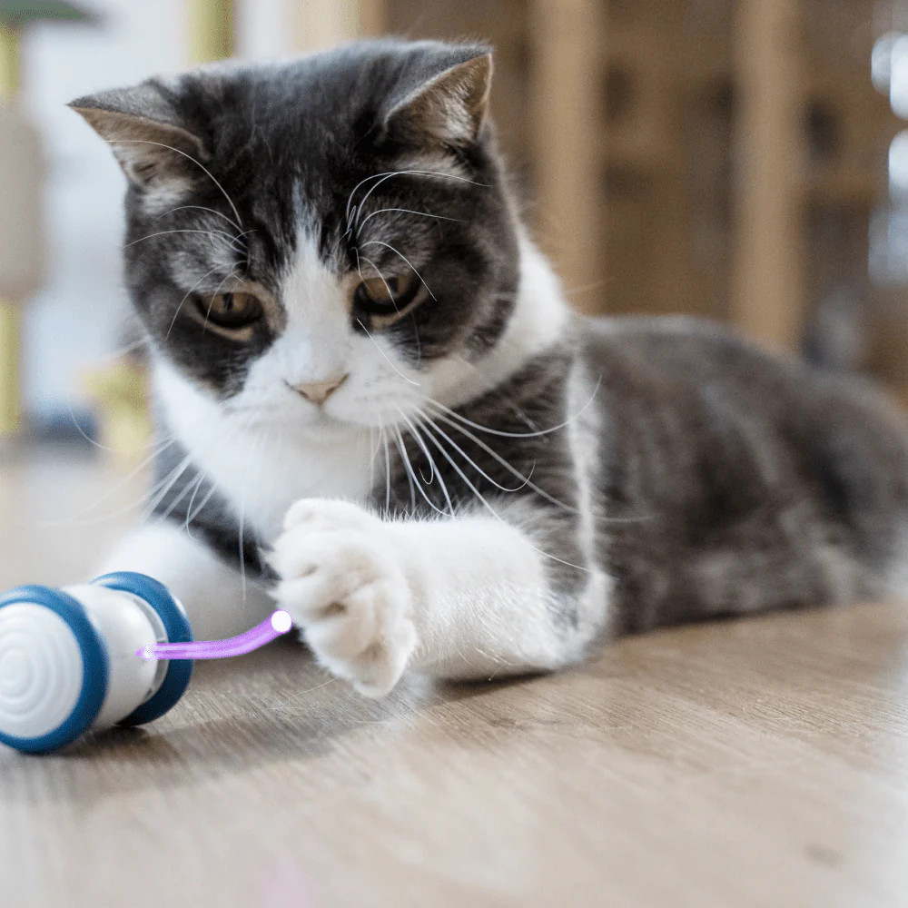 Cheerble Wicked Mouse Interactive Toy for Cats (Blue) - Image 8