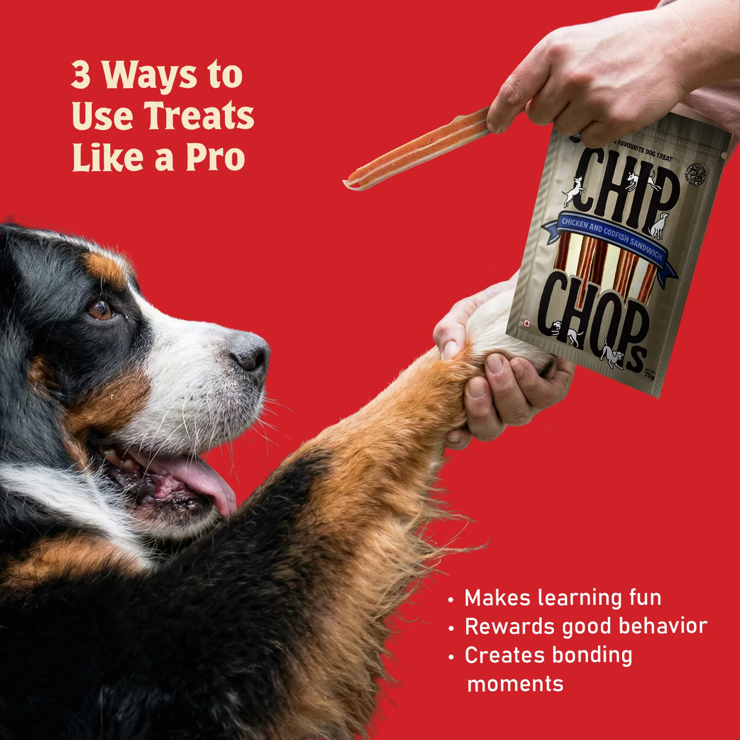 Chip Chops Chicken and Codfish Sandwich Dog Treats - Image 3