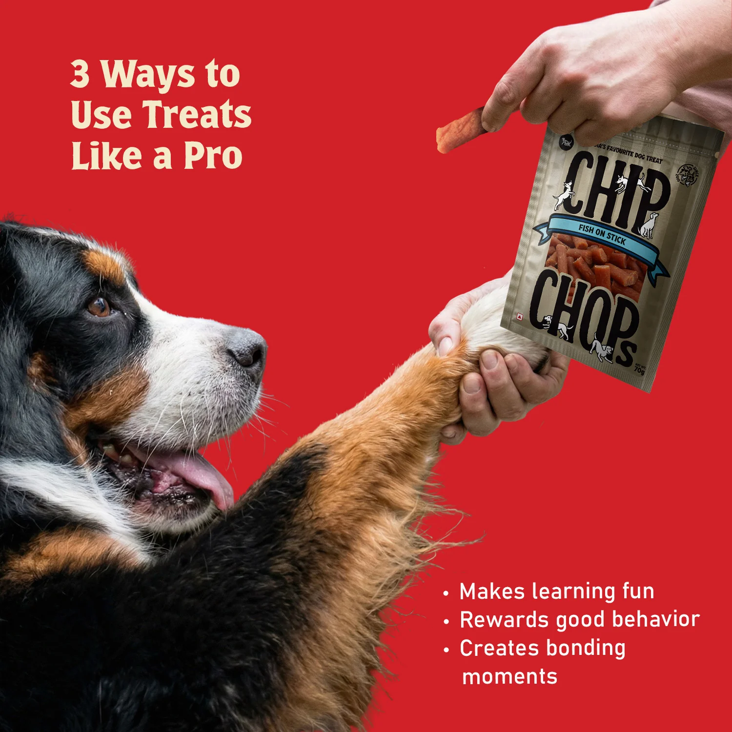 Chip Chops Fish on Stick Dog Treats - Image 4