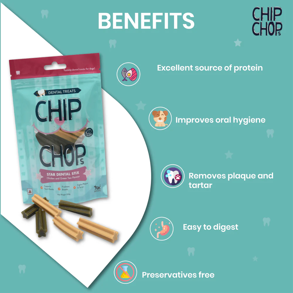 Chip Chops Star Dental Stix Chicken and Green Tea Flavored Dog Treats - Image 3