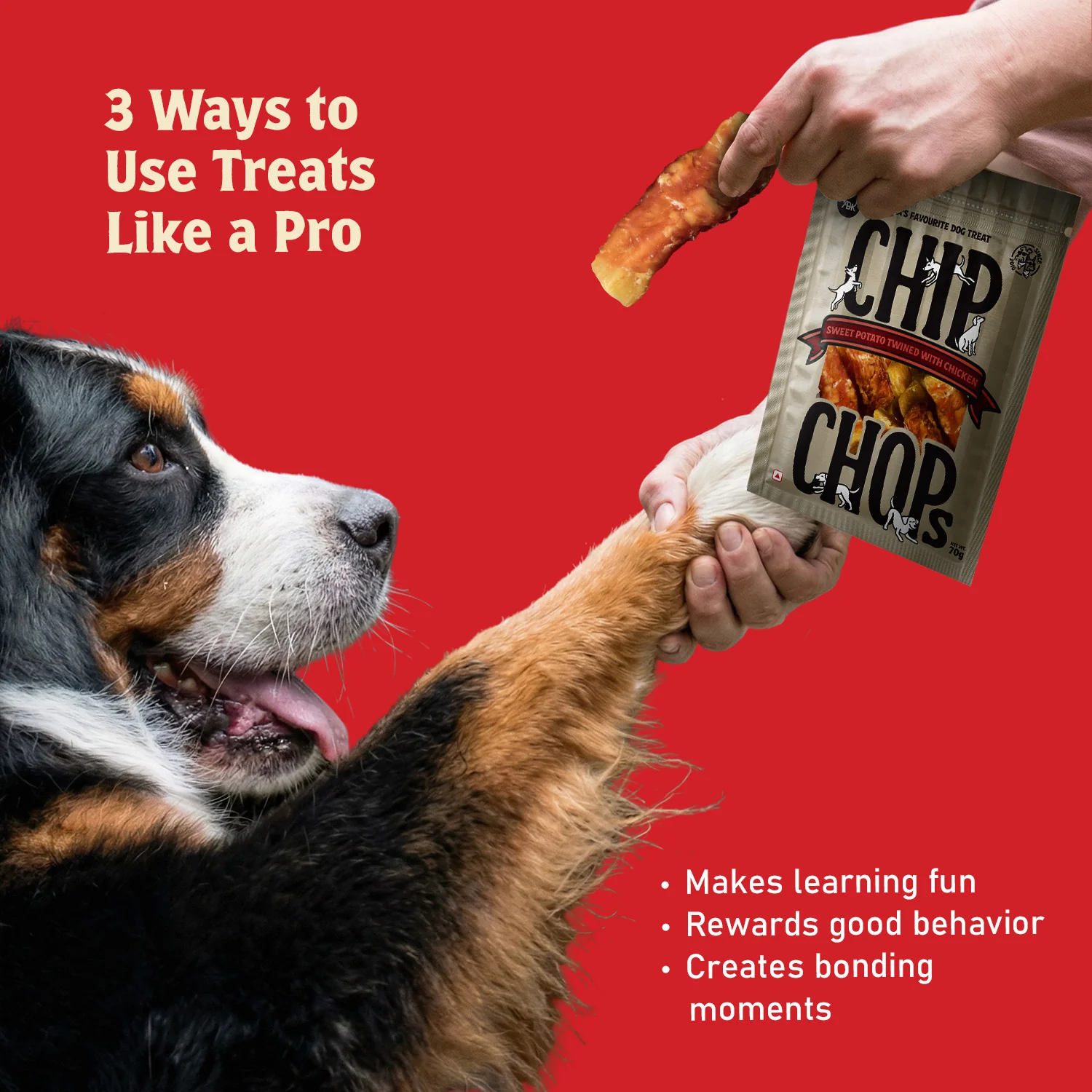 Chip Chops Sweet Potato Chicken Dog Treats - Image 3