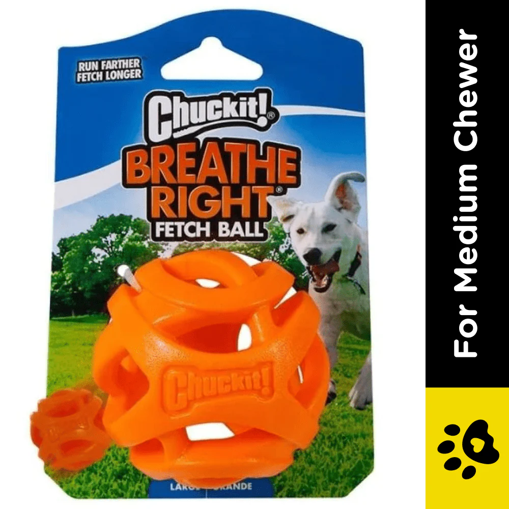Chuckit! Breath Right Fetch Toy for Dogs | For Medium Chewers - Image 3