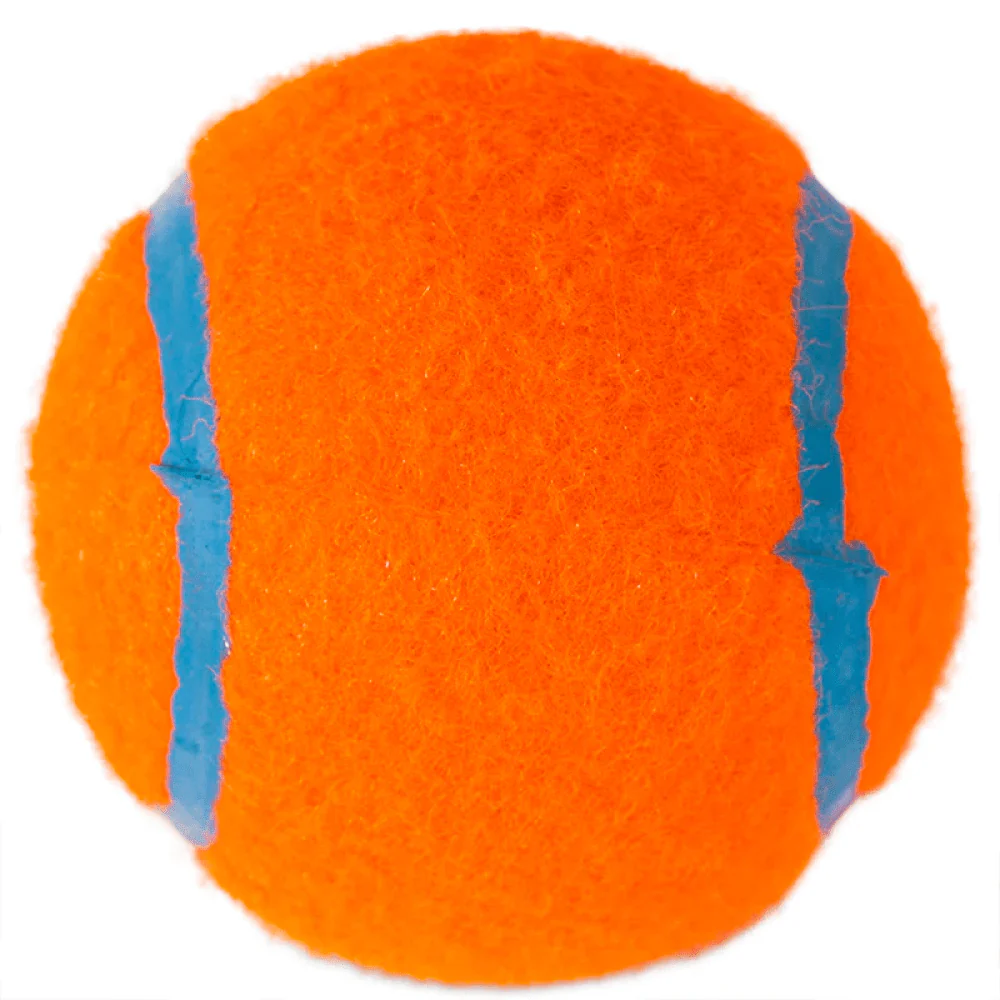 Chuckit! Tennis Ball for Dogs (Blue/Orange) - Image 2