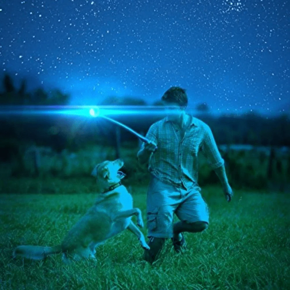 Chuckit! Max Glow Ball for Dogs | For Medium Chewers - Image 4