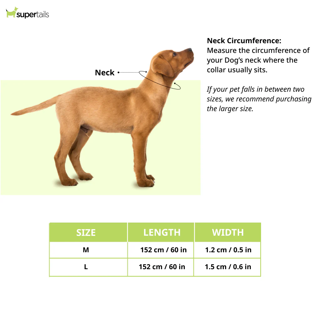 Chullbull Behavioral Training Choke Chain for Dogs (Silver) - Image 2