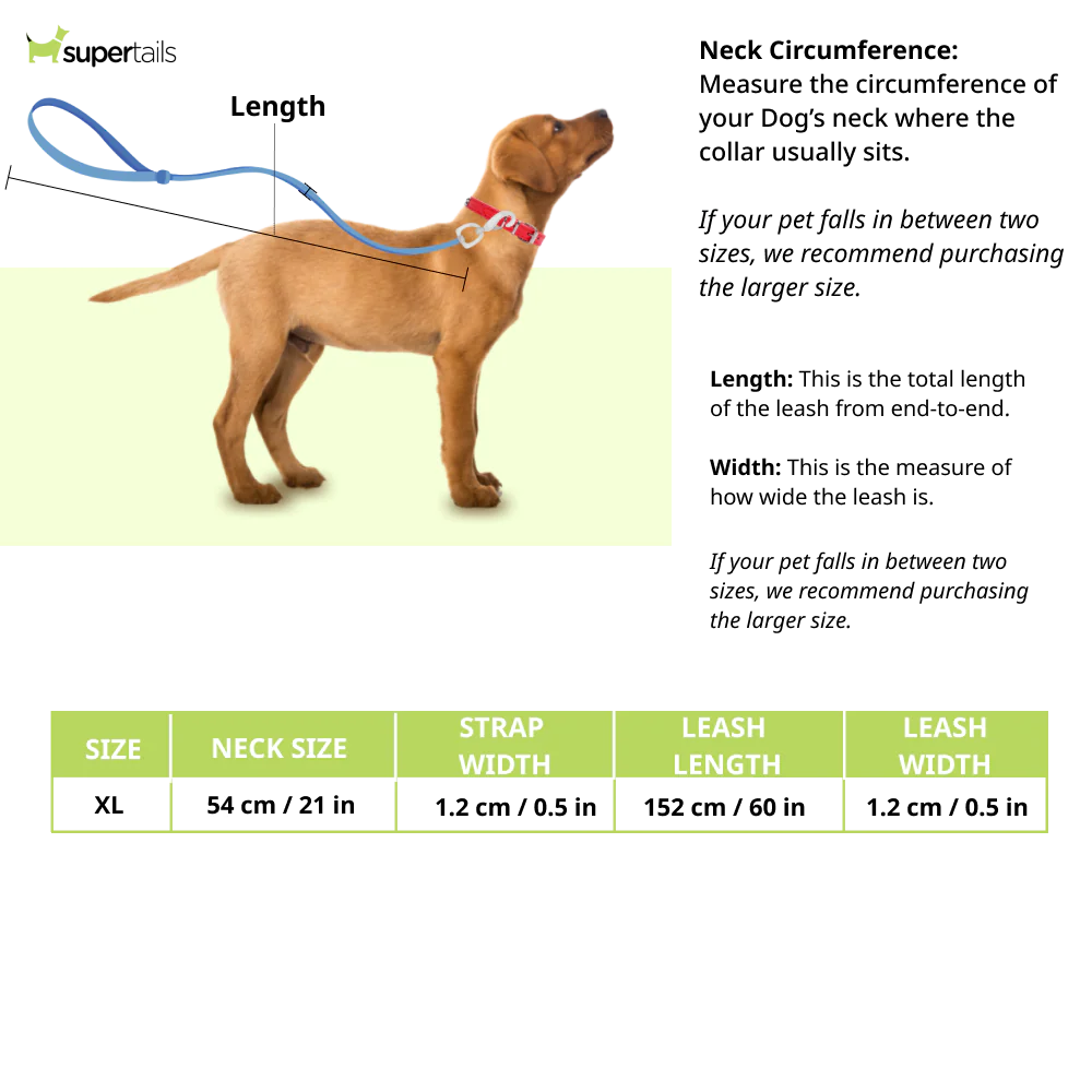 Chullbull Durable Light Weight Chain Leash and Choke Collar for Dogs - Image 2