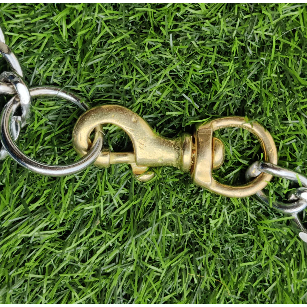 Chullbull Heavy Duty Brass Chain Leash for Dogs (Silver) - Image 4