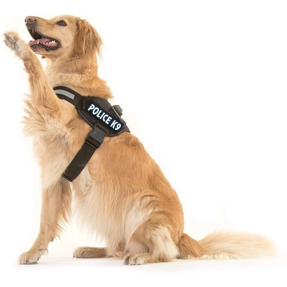 Chullbull K9 Police Buckle Harness for Dogs (Black) - Image 6