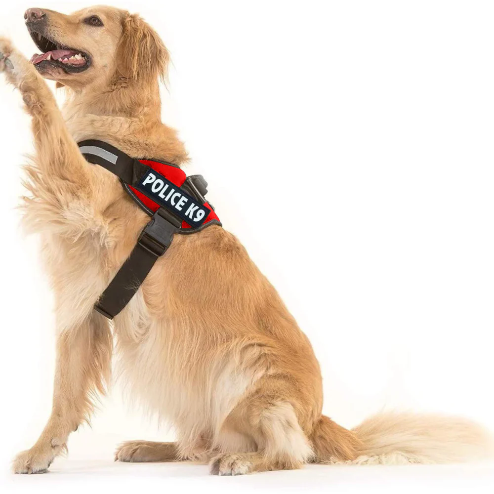 Chullbull K9 Police Buckle Harness for Dogs (Red) - Image 5