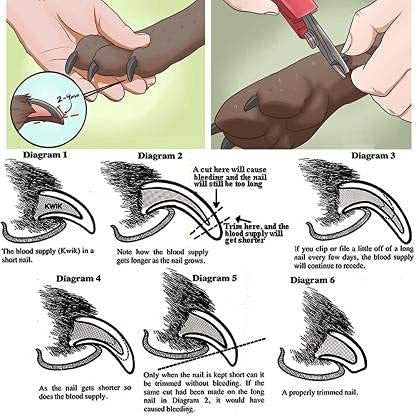 Chullbull Nail Cutter with Filer and Double Sided Comb Grooming Kit for Dogs - Image 4