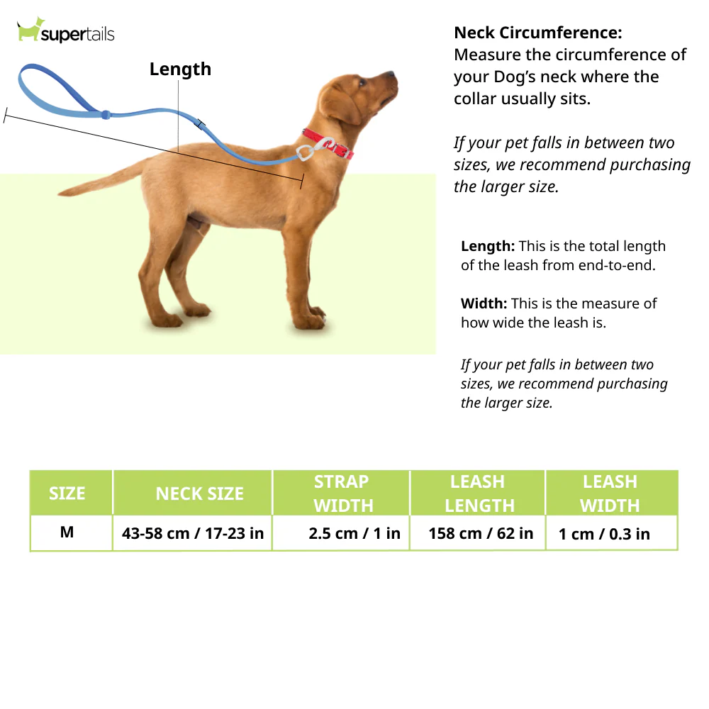 Chullbull Nylon Choke Collar and Leash for Dogs (Black) - Image 2