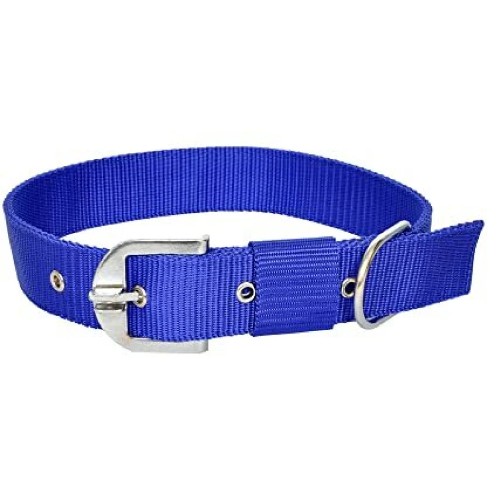 Chullbull Nylon Collar and Heavy Chain Leash for Dogs (Blue) - Image 3