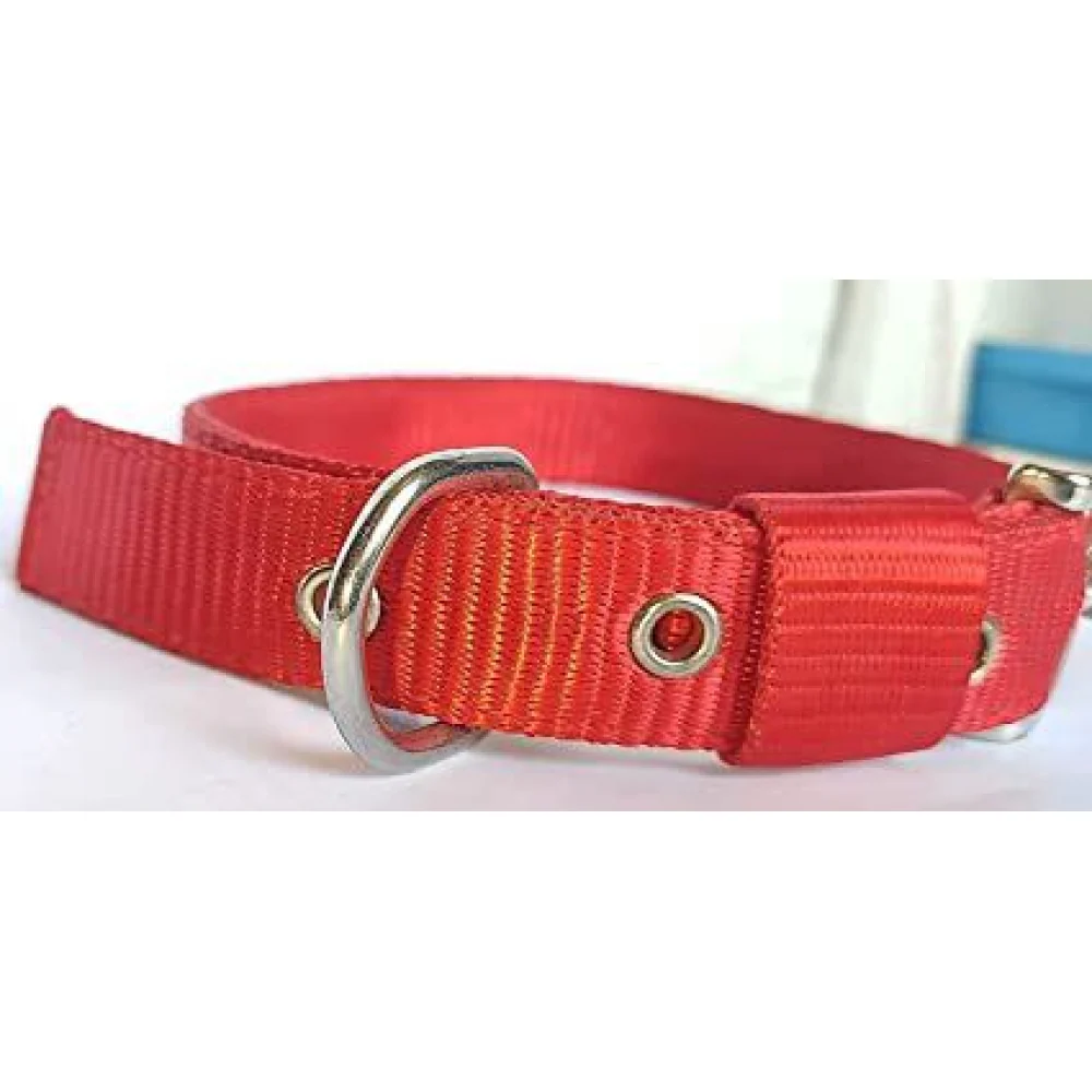 Chullbull Nylon Collar and Heavy Chain Leash for Dogs (Red) - Image 4