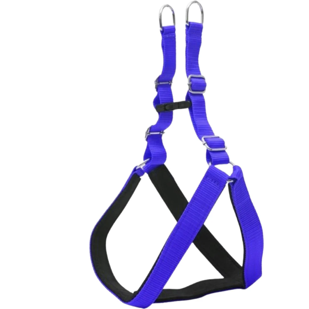 Chullbull Pet Products Harness and Leash for Dogs (Blue) - Image 3