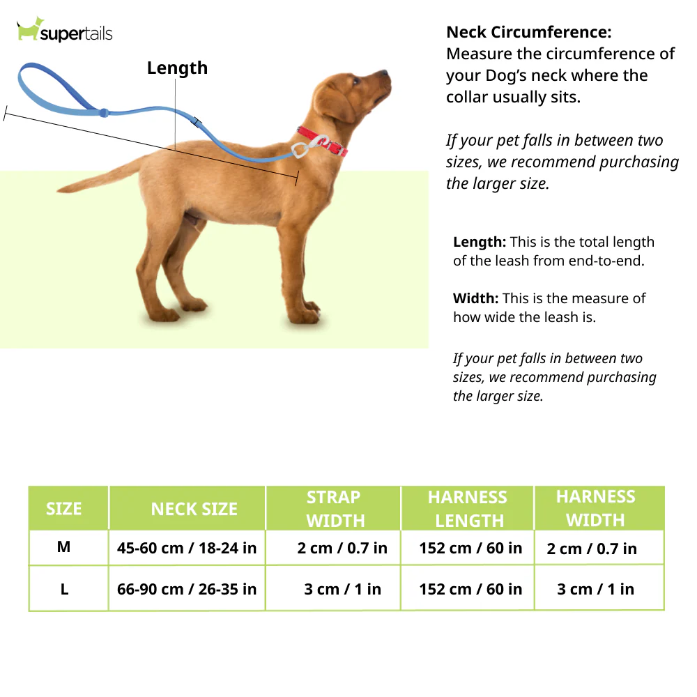 Chullbull Pet Products Harness and Leash for Dogs (Red) - Image 2