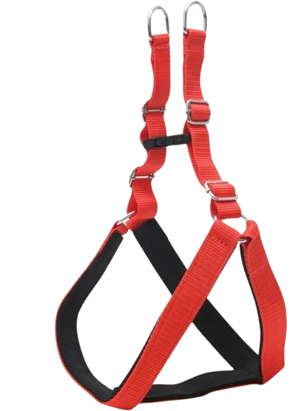 Chullbull Pet Products Harness and Leash for Dogs (Red) - Image 4