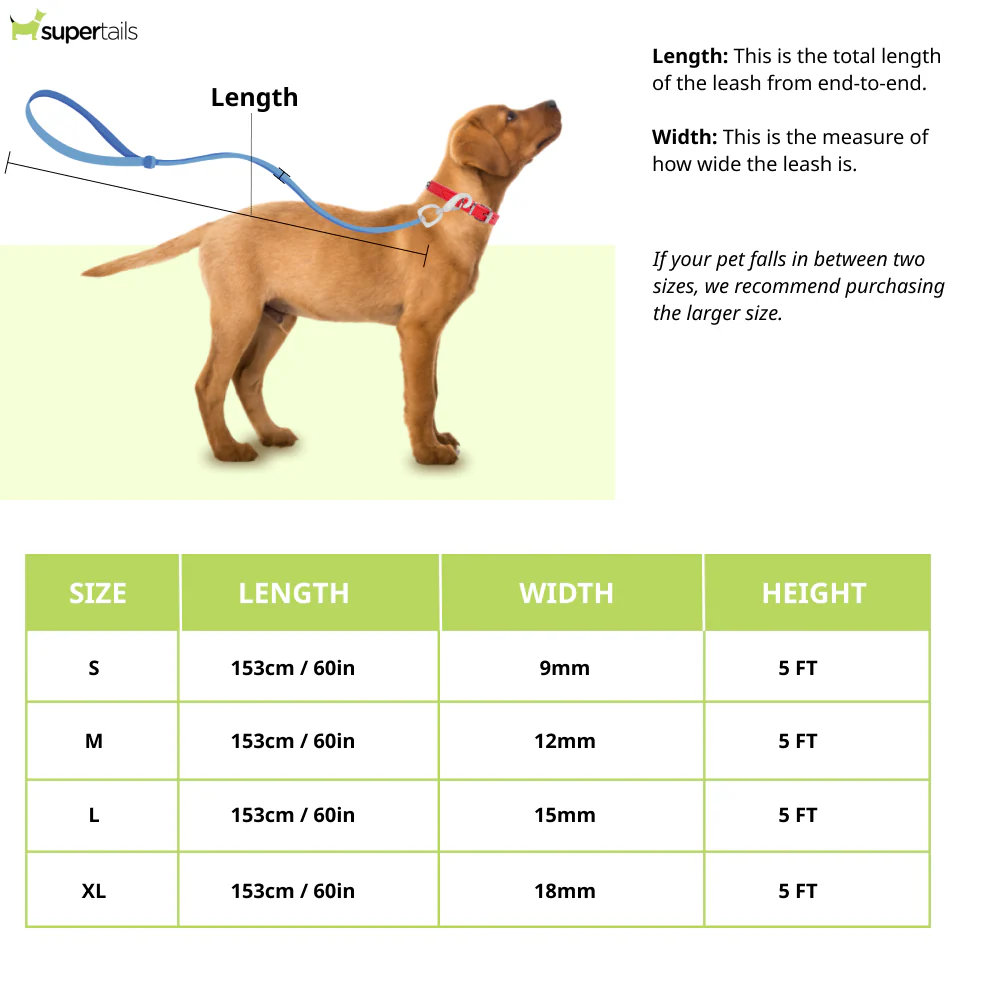 Chullbull Strong Rope Cord Leash for Dogs (Yellow) - Image 2