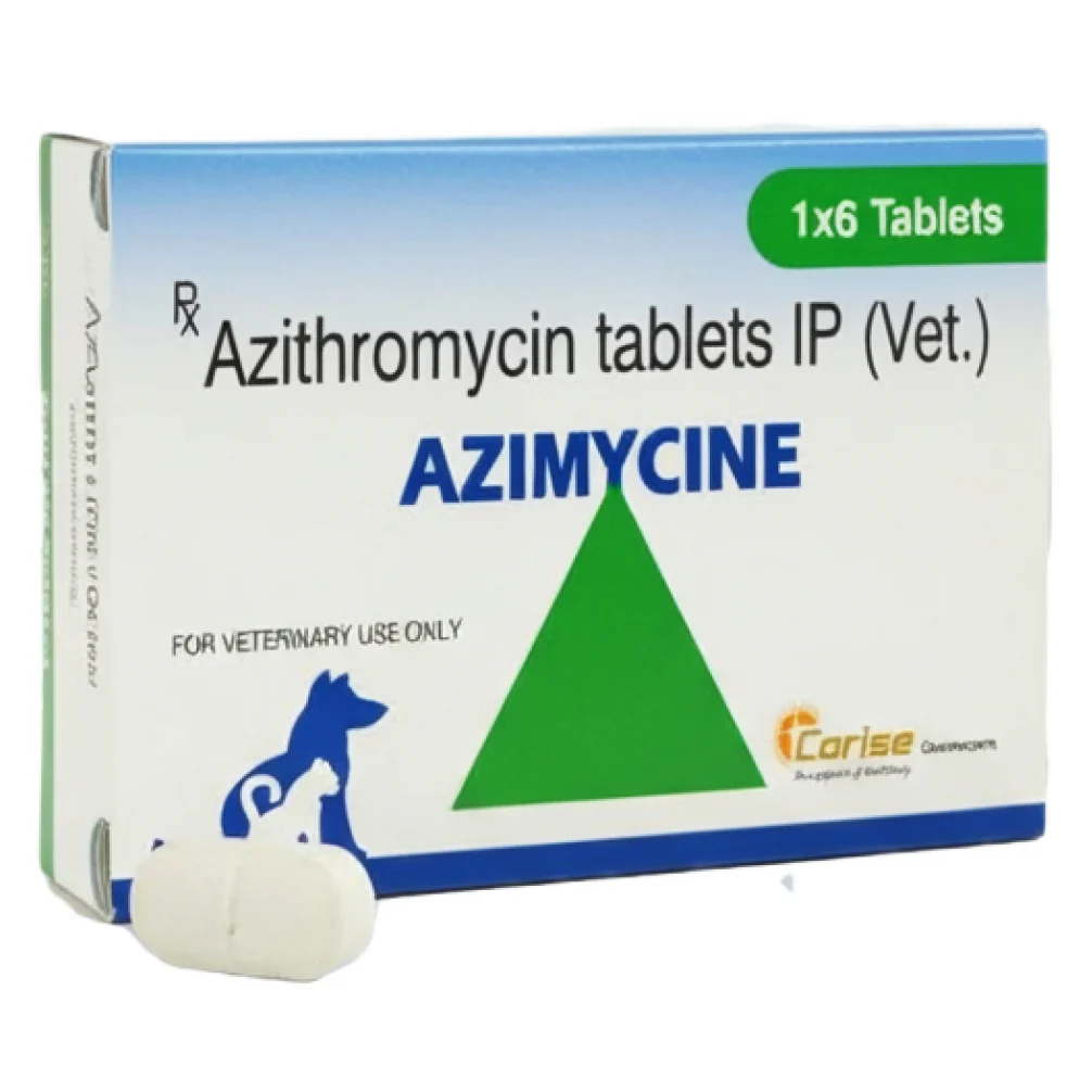 Corise Azimycine 500mg Tablet (Azithromycin) for Dogs and Cats - Image 2