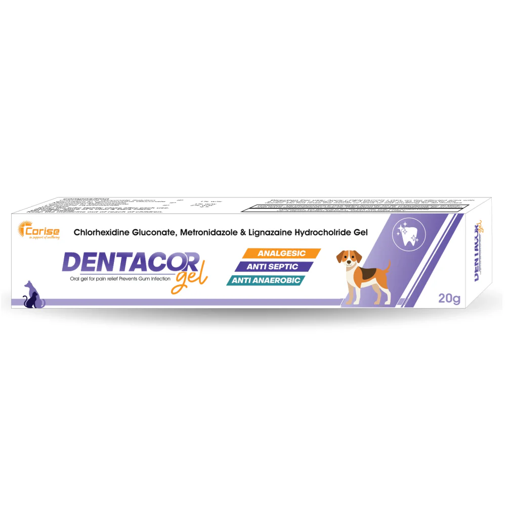 Corise Dentacor Oral Gel for Dogs and Cats - Image 2
