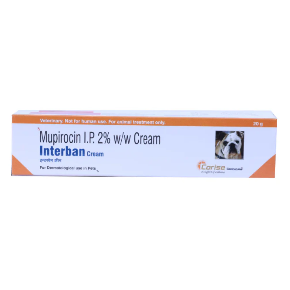 Corise Interban Surge 10 Ointment (Povidine Iodine & Metronidazole) for Dogs