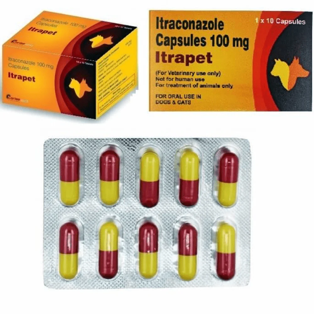 Corise Itrapet 100mg Capsules (Itraconazole) for Dogs and Cats - Image 3