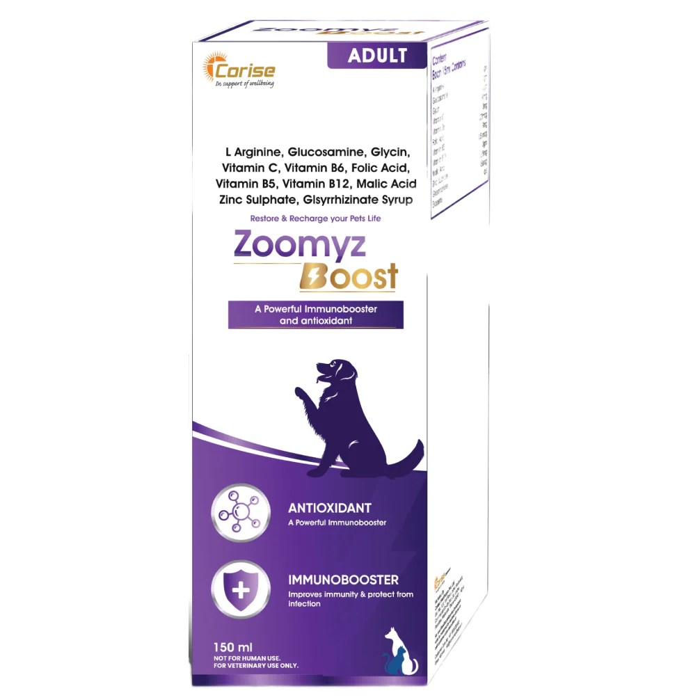 Corise Zoomyz Boost Syrup Dogs and Cats - Image 2