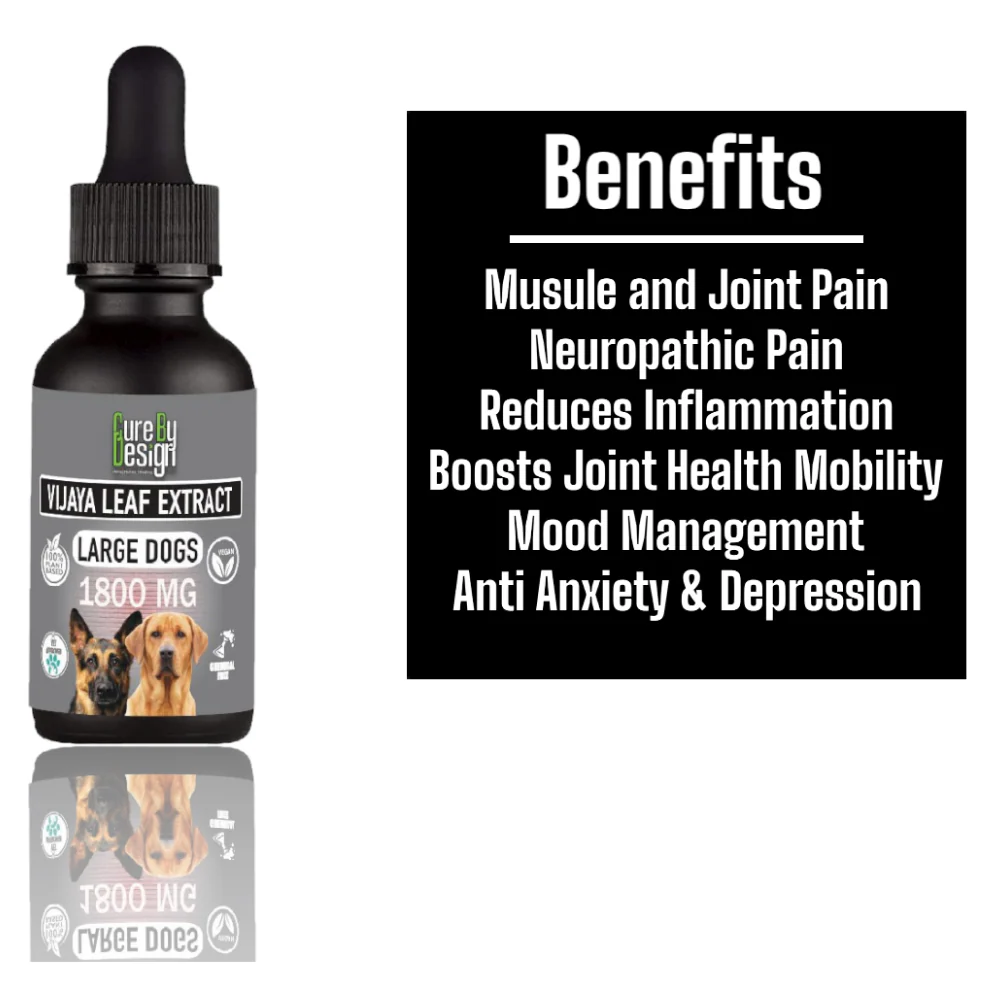 Cure By Design 1800mg Vijaya Leaf Extracts for Dogs and Cats - Image 4