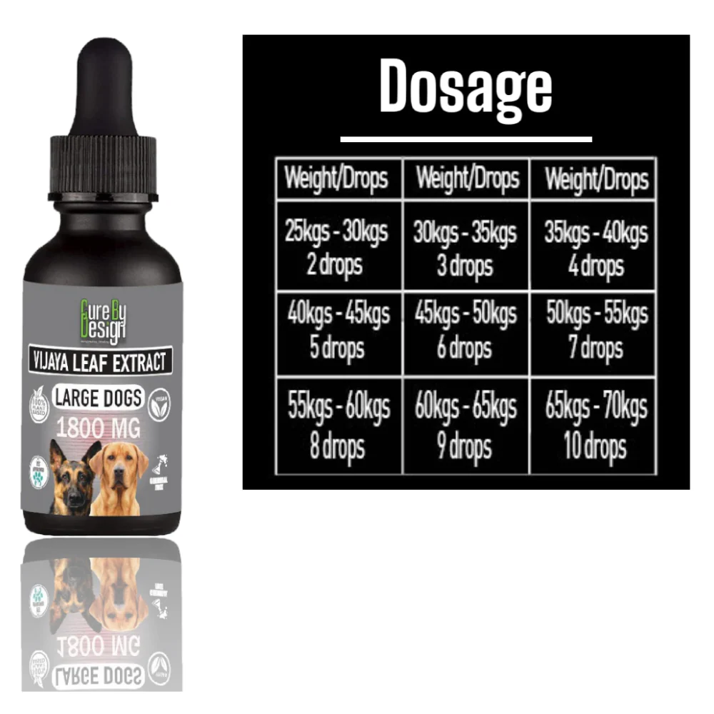 Cure By Design 1800mg Vijaya Leaf Extracts for Dogs and Cats - Image 5
