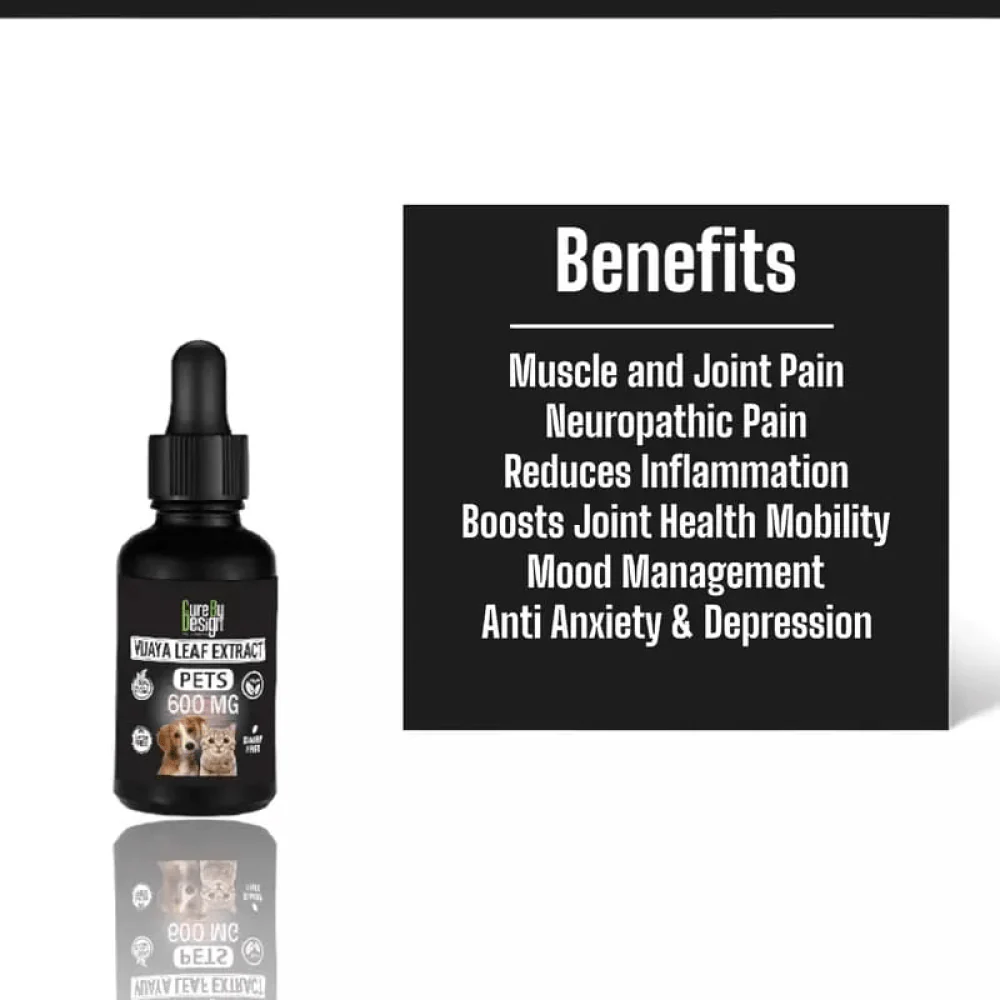 Cure By Design CBD 600mg Full Spectrum Hemp Oil for Pets - Image 2