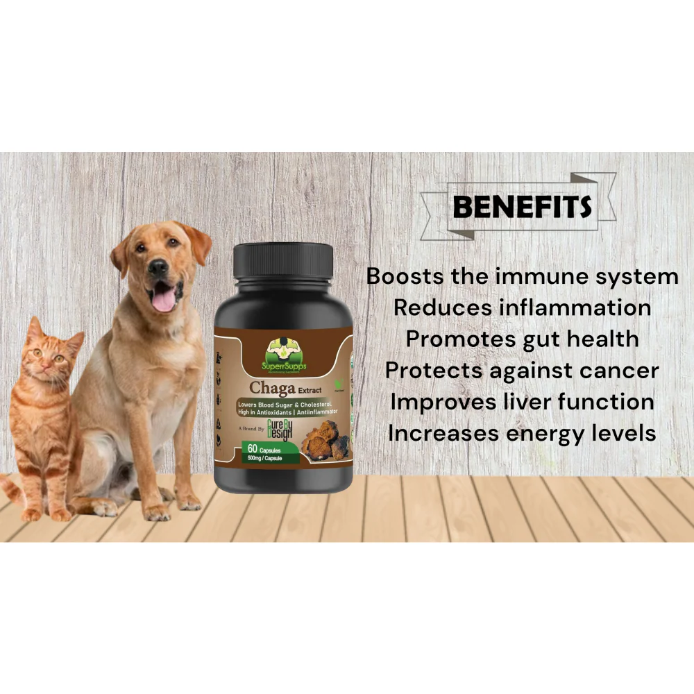 Cure By Design Chaga Mushroom Capsules for Dogs and Cats - Image 4