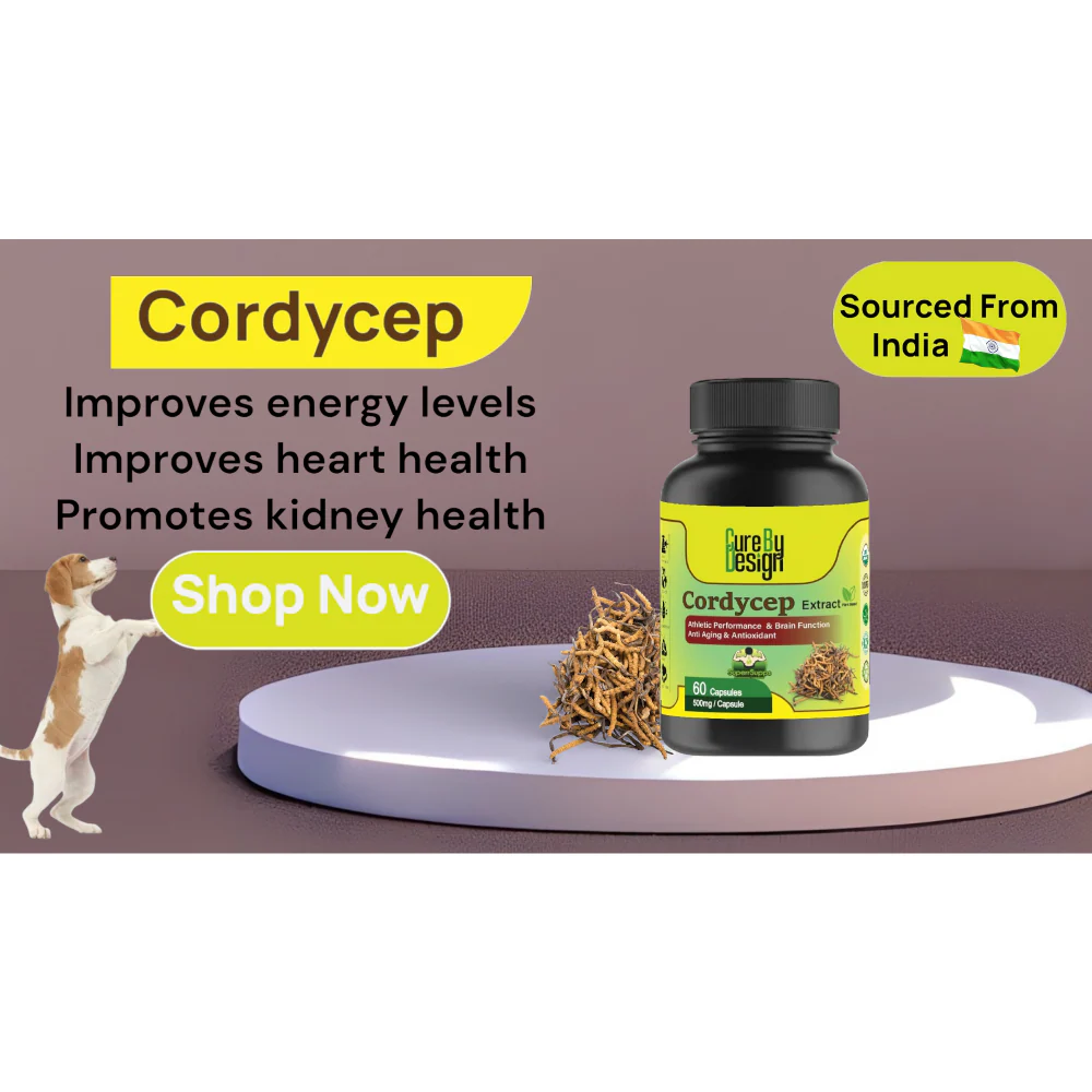 Cure By Design Cordycep Mushroom Capsules for Dogs and Cats - Image 5