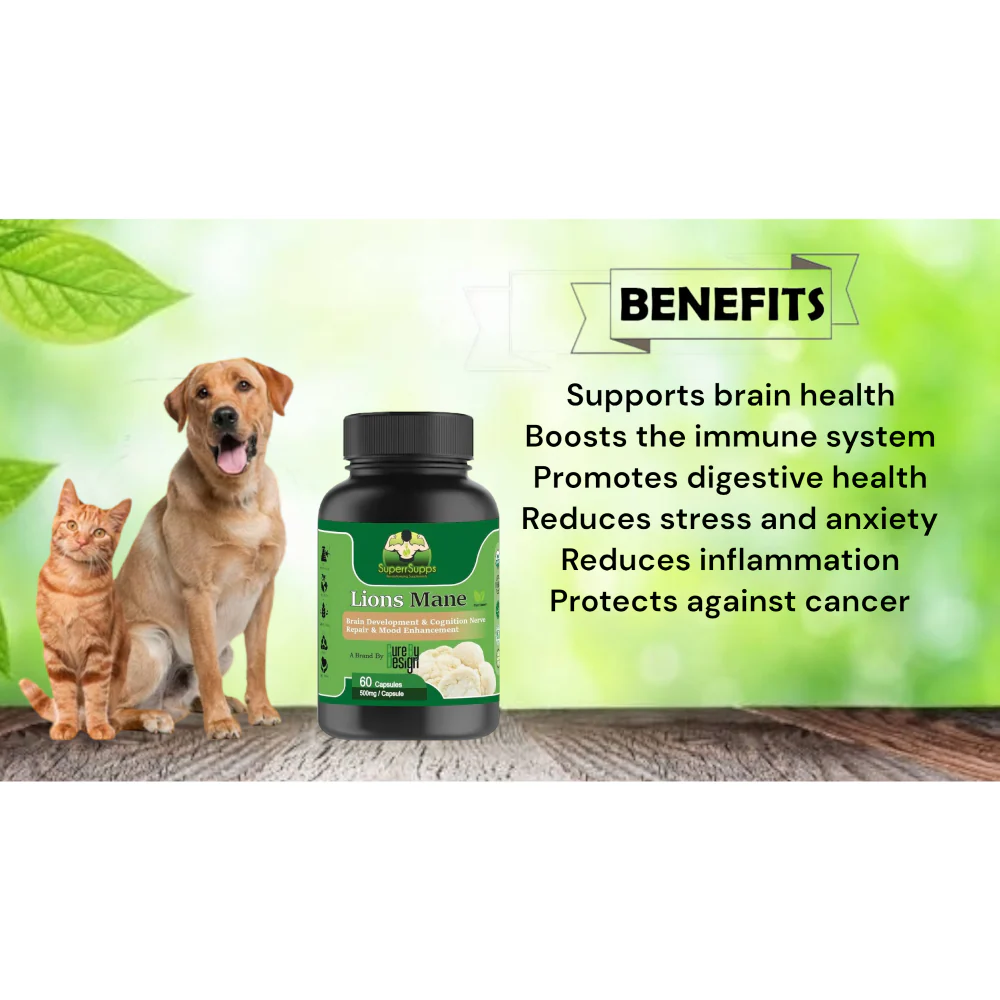 Cure By Design Lion Mane Mushroom Capsules for Dogs and Cats - Image 2