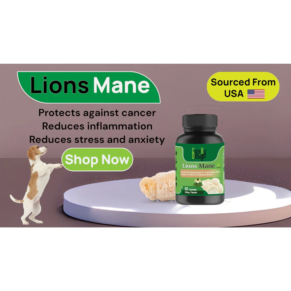 Cure By Design Lion Mane Mushroom Capsules for Dogs and Cats - Image 5